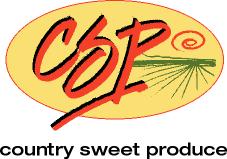 CSP_LOGO_vector