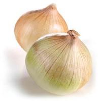 onionsSm